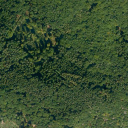 Satellite imagery of Adlerstein, DE