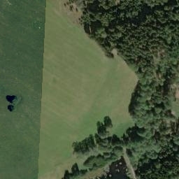Satellite imagery of (U Pavlovy hutě) [Obora u Tachova], CZ
