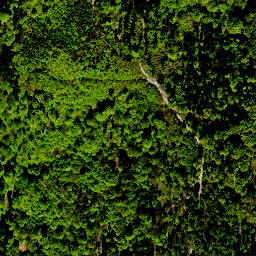 Satellite imagery of survey_point, PL