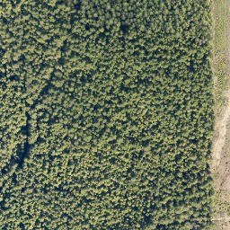 Satellite imagery of cairn, CA