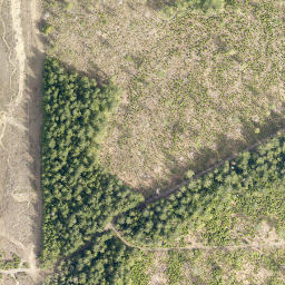 Satellite imagery of cairn, CA