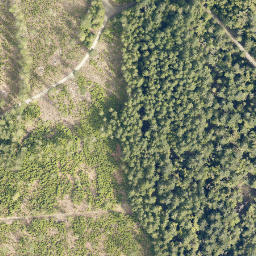 Satellite imagery of cairn, CA