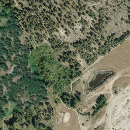 Satellite imagery of Pincushion Mountain, CA