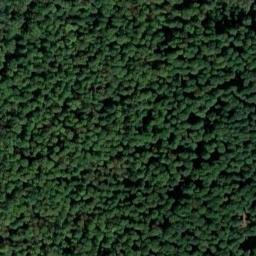 Satellite imagery of Langenberg, DE