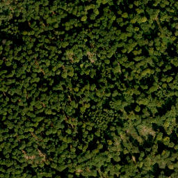 Satellite imagery of Geiersberg, DE