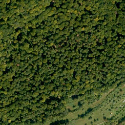 Satellite imagery of Fechenberg, DE