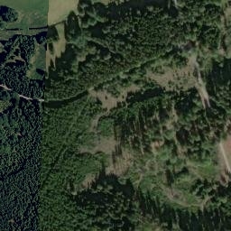 Satellite imagery of (U Pavlovy hutě) [Obora u Tachova], CZ