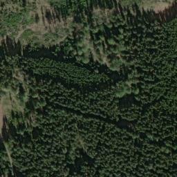 Satellite imagery of (U Pavlovy hutě) [Obora u Tachova], CZ
