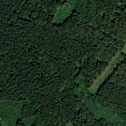 Satellite imagery of Bučina [Rušinov-Vratkov], CZ