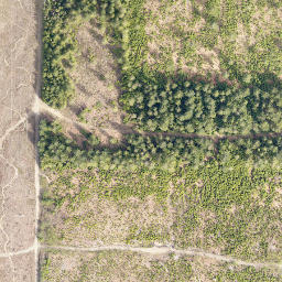 Satellite imagery of cairn, CA
