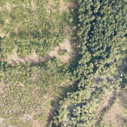 Satellite imagery of cairn, CA