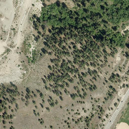 Satellite imagery of Pincushion Mountain, CA