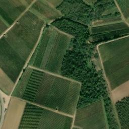 Satellite imagery of Steigerberg, DE