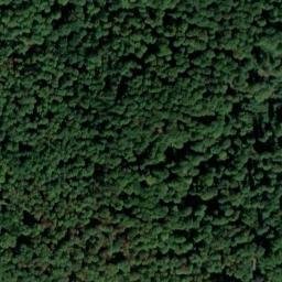 Satellite imagery of Langenberg, DE