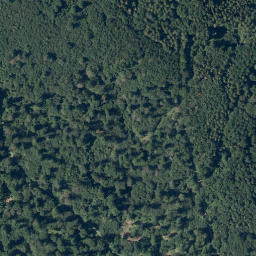 Satellite imagery of Steinkaute, DE