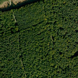 Satellite imagery of Heidenberg, DE