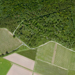 Satellite imagery of Mittelberg, DE