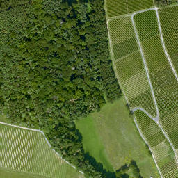 Satellite imagery of Mittelberg, DE