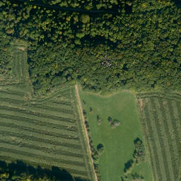 Satellite imagery of Buchberg, DE