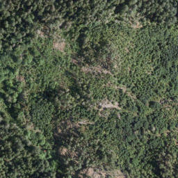 Satellite imagery of Egmont Point, CA