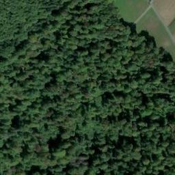 Satellite imagery of Langenberg, DE