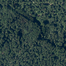Satellite imagery of Steinkaute, DE