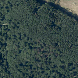 Satellite imagery of Steinkaute, DE