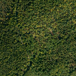 Satellite imagery of Hockenberg, DE