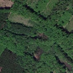 Satellite imagery of Jelení vrch [Stavenice], CZ