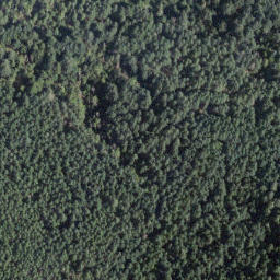 Satellite imagery of Cook Point, CA