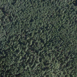Satellite imagery of Cook Point, CA