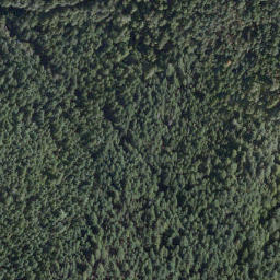 Satellite imagery of Cook Point, CA