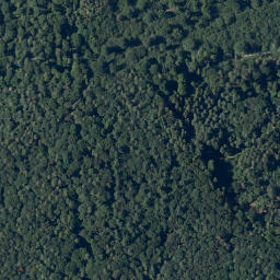 Satellite imagery of Steinkaute, DE