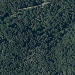 Satellite imagery of Steinkaute, DE