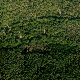 Satellite imagery of Hockenberg, DE