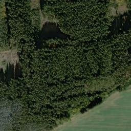 Satellite imagery of (Horní Les) [Ošelín-Horní Plezom], CZ