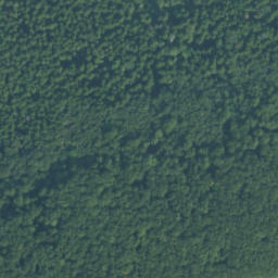 Satellite imagery of Kostrza, PL