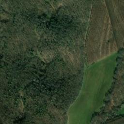Satellite imagery of Wingertsberg, DE