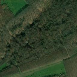 Satellite imagery of Wingertsberg, DE