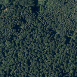 Satellite imagery of Steinernfirst, DE
