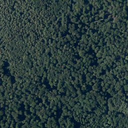 Satellite imagery of Steinernfirst, DE