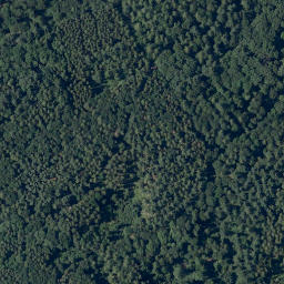 Satellite imagery of Altscheuer, DE