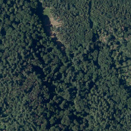 Satellite imagery of Altscheuer, DE