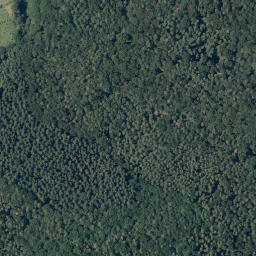 Satellite imagery of Buchenberg, DE