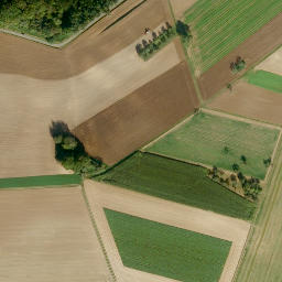 Satellite imagery of Ellenbühl, DE