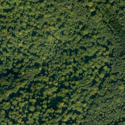 Satellite imagery of Rotenberg, DE