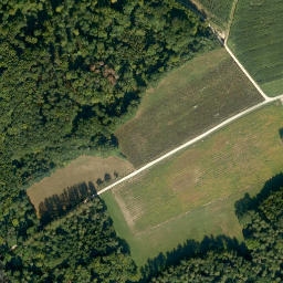Satellite imagery of Dickenberg, DE