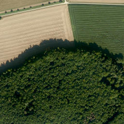 Satellite imagery of Sponsberg, DE