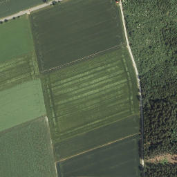 Satellite imagery of Kleinberg, DE