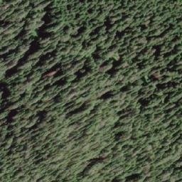 Satellite imagery of White Ridge, CA